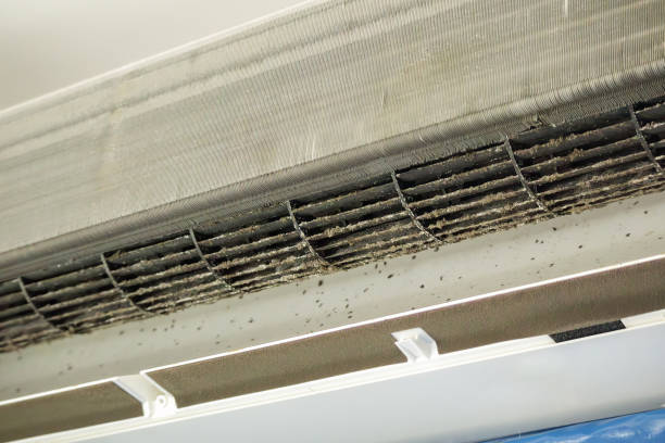 Best HVAC Air Duct Cleaning  in Holt, MI